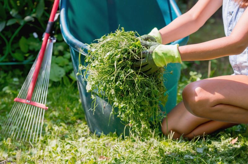 Contact About Yard Cleaning Service