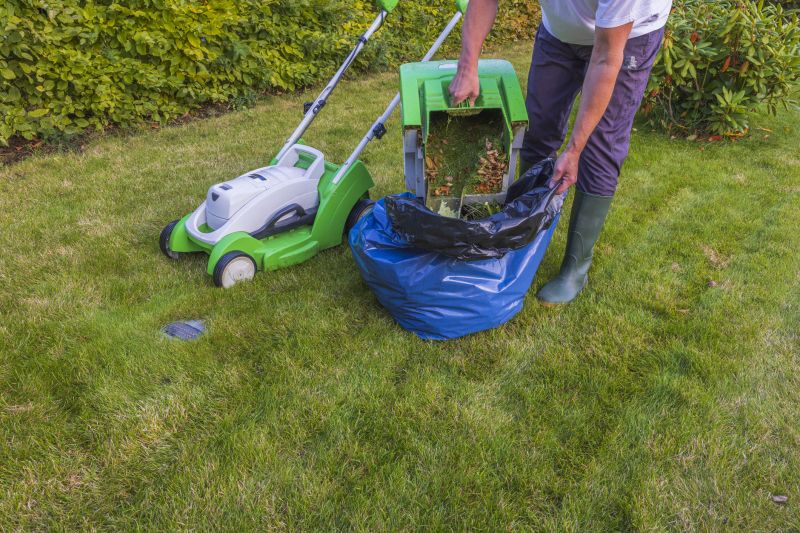 Products For Yard Cleaning Service in use