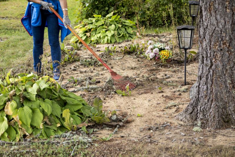 Yard Cleaning Service