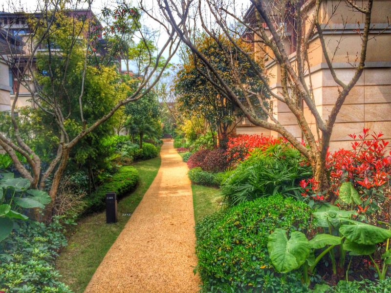 Pathway and Driveway Clearing