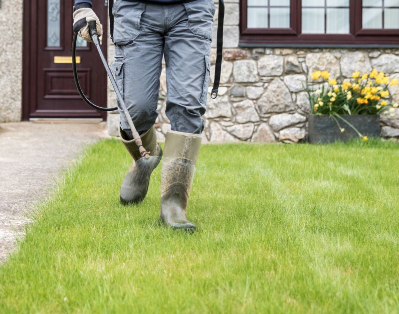 Yard Cleaning Service