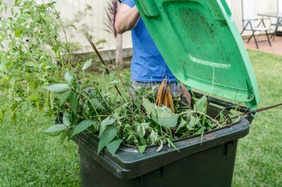 Get Rid of Yard Waste and Debris!