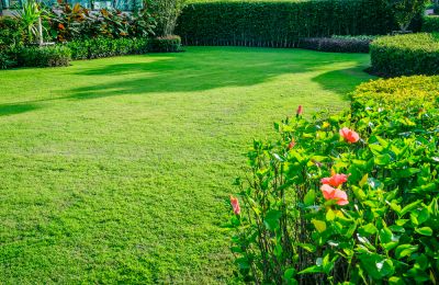 Get Your Yard Looking Great!